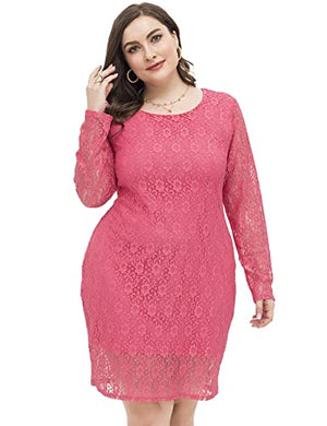 Chicwe Women's Plus Size Lined Lace Dress